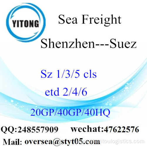 Shenzhen Port Sea Freight Shipping To Suez